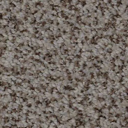 In-stock polyester carpet from Gilbert's CarpetsPlus COLORTILE in Big Rapids, MI