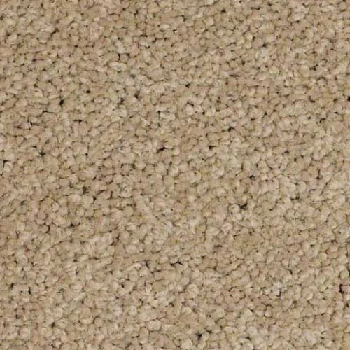 In-stock nylon carpet from Gilbert's CarpetsPlus COLORTILE in Big Rapids, MI